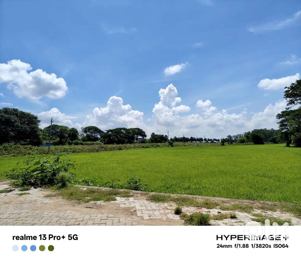 Pattamundai & Kendrapara