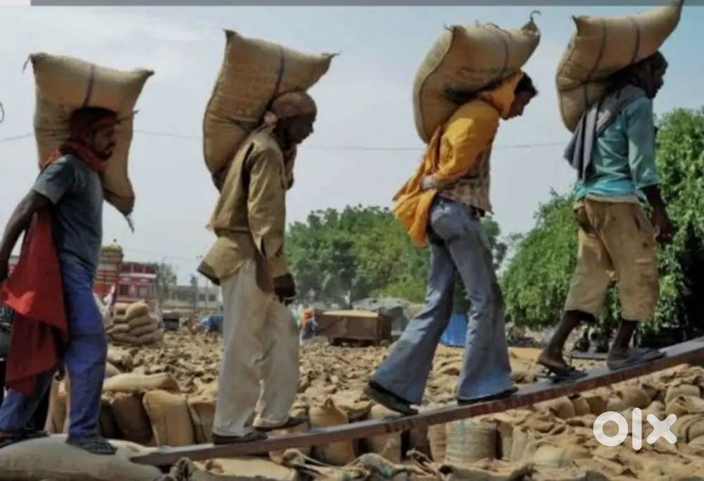 Lebour contractor
