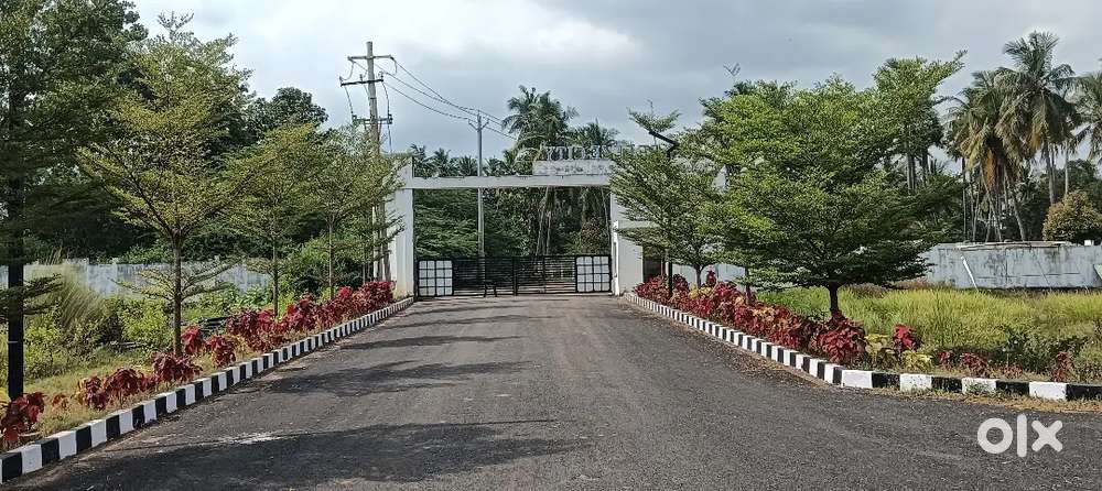 Open plots at Tagarapuvalasa