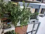 Independent G+2 House For Sale Uppal Decathlon