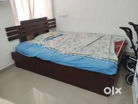Wooden cot available factory direct