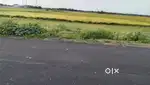 টাকা উপার্জনের সেরা ঠিকানা রিয়েলএসটেট মার্কেটিং