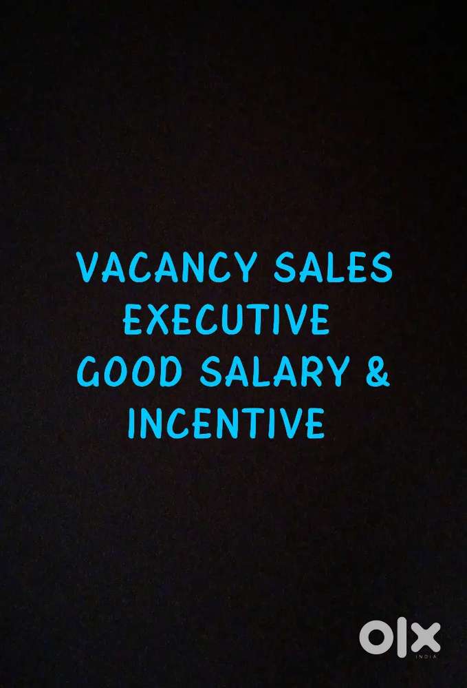 SALES EXECUTIVE