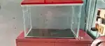 Ar0wana Aquarium