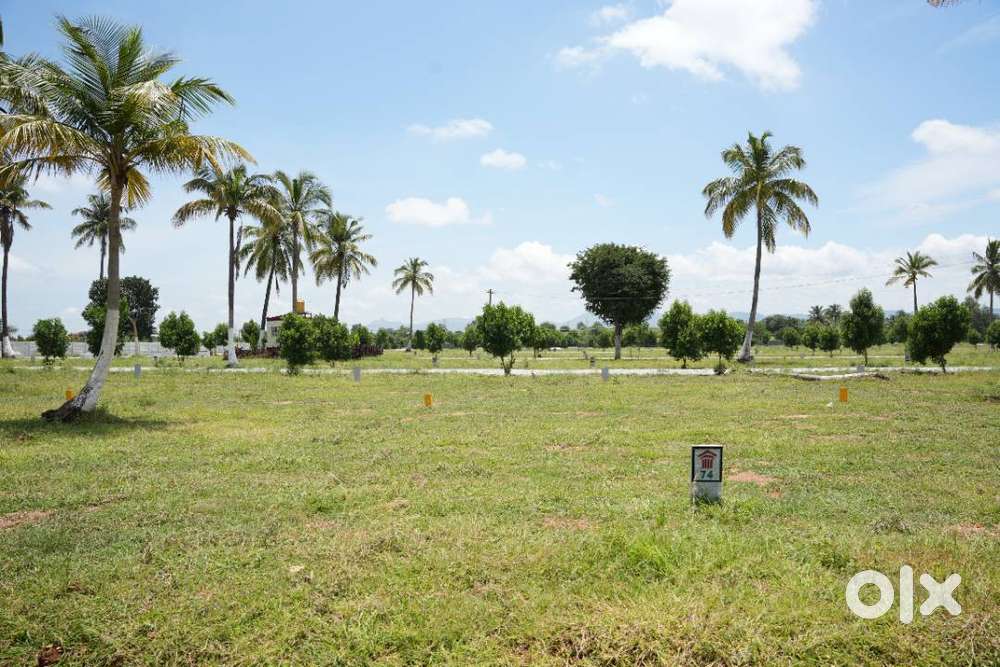 Land the Best Deal Ever – Starting at ₹899/sqft