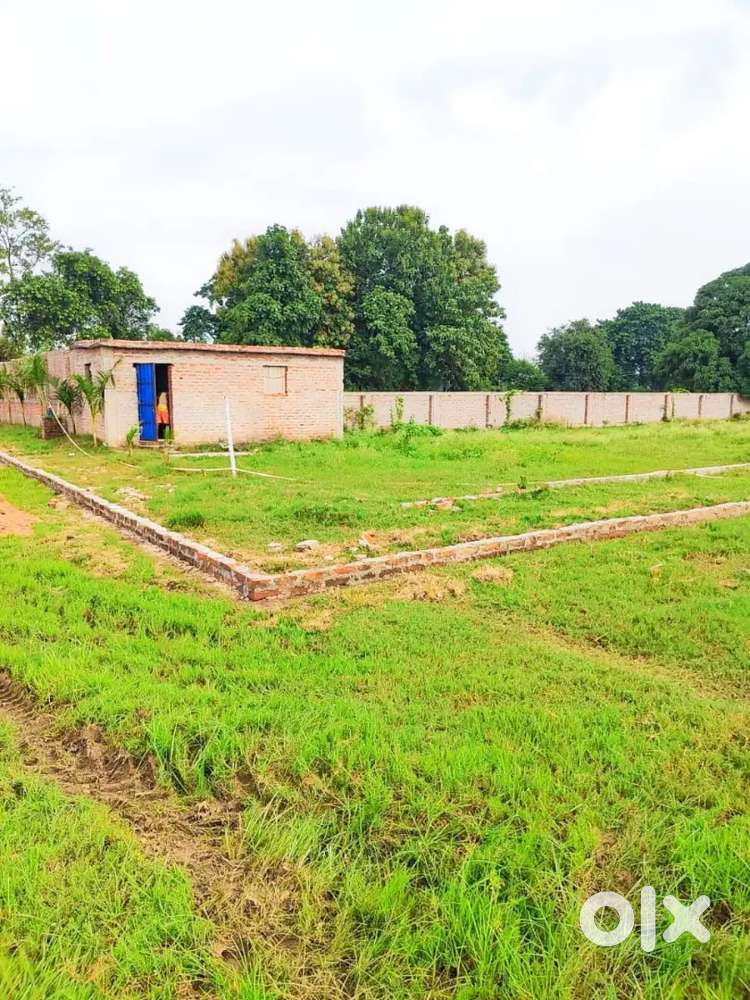 बिहटा BSF camp  के साथ हुए प्लॉट ले