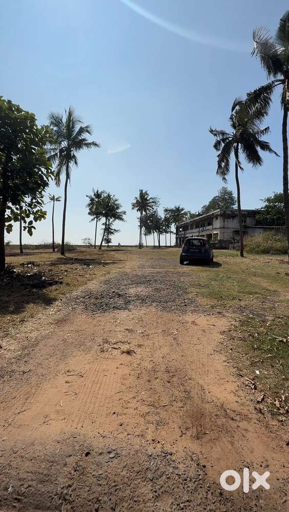 3.19 Acres (319 Cents) - Kannur (CRZ-2)  Seaside Plot  Villas/Reso