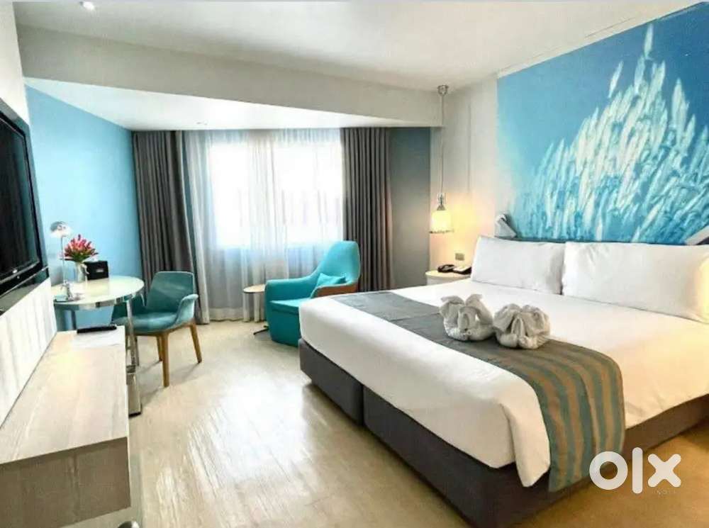 3bhk OR 2bhk fully furnished or semi  flat for family at gms