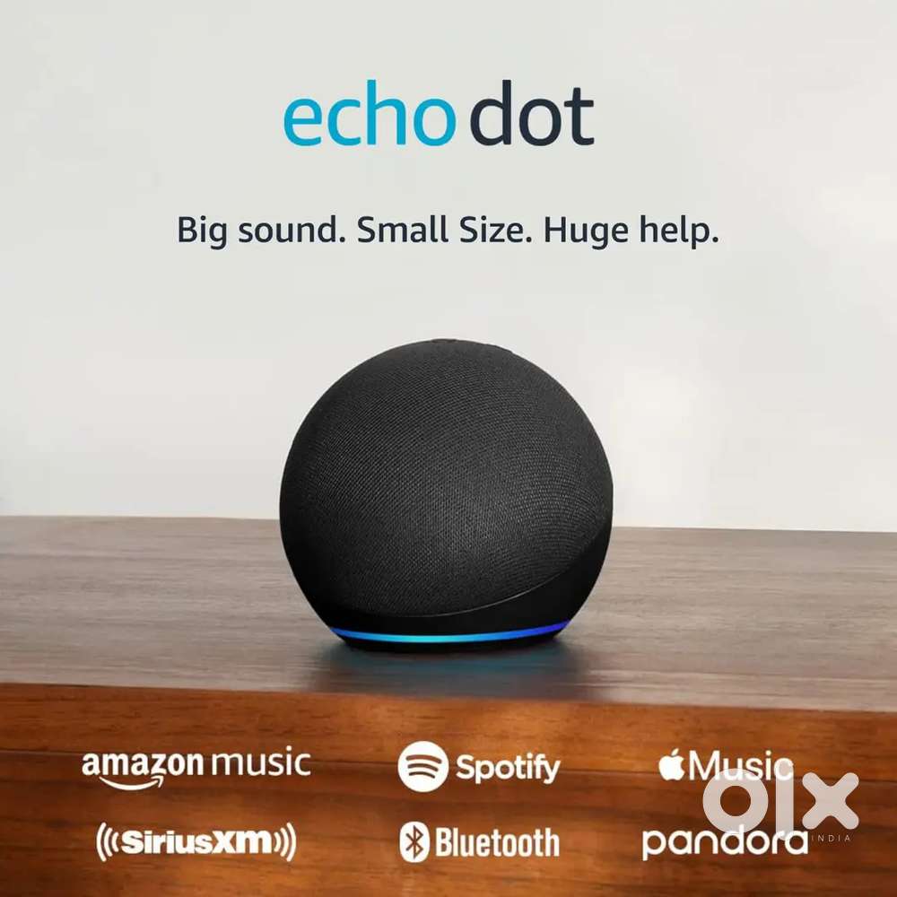 Alexa  echo dot