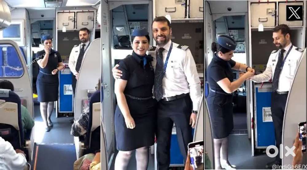 Cabin Crew/ Airport Ground Staff Jobs in Indigo airlines apply fast.