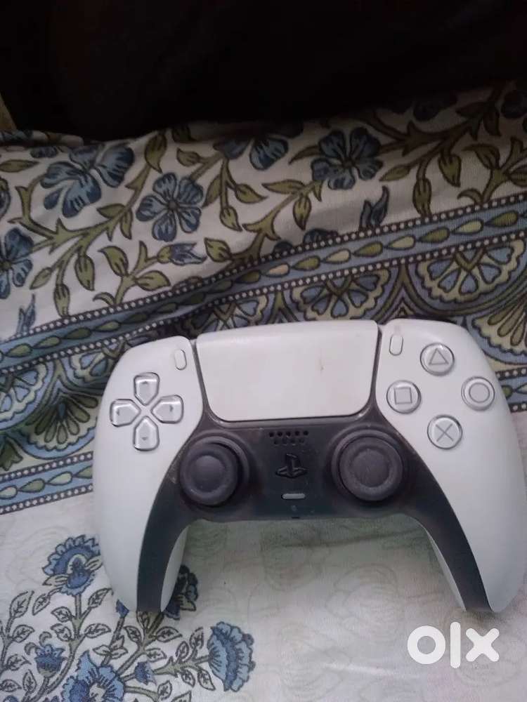 Plastion 5 Or Ps5 controller