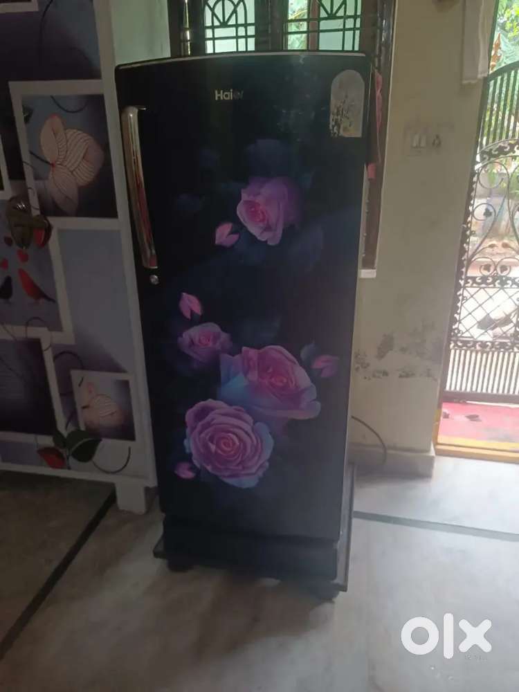 1 year fridge 10000 only.