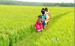 എനിക്ക് വീട്ടിലിരുന്നു വർക്ക്‌ ചെയ്യാൻ ഒരു ടൈലറേ ആവശ്യമുണ്ട്