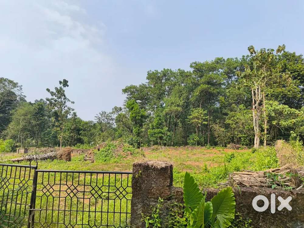 46 cents rectangular shape land for Rent in Bantwal