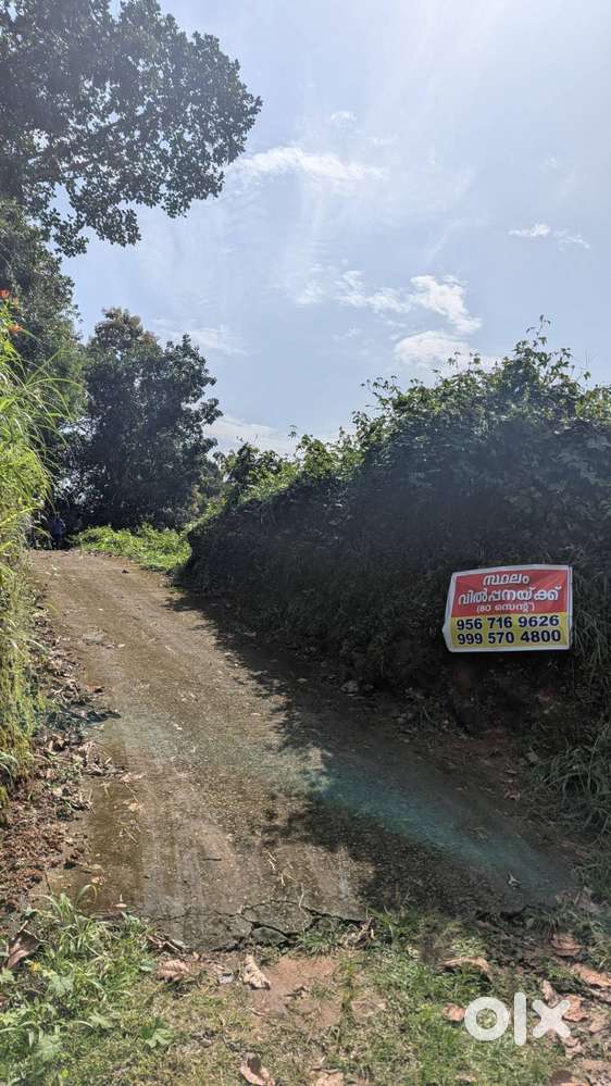 Plot for sale: Thodupuzha