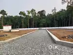 NEAR COCHIN INTERNATIONAL AIRPORT PREMIUM HOUSEPLOT FOR SALE ANGAMALY