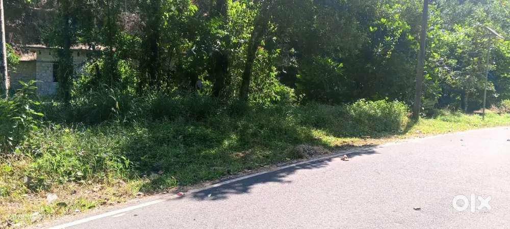 Land for sale. മധവൻപടി കൈതമറ്റം road side 8 cent