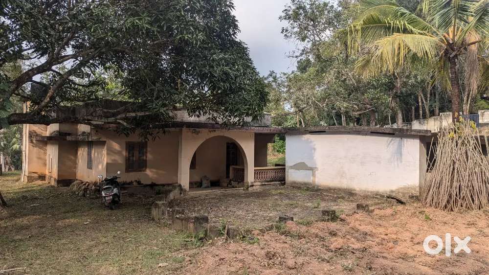 50 cent plot for sale