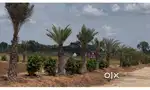 Luxury Residential plots At Mumbai Highway