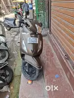 अच्छी कंडीशन तुरंत बिकाऊ घोड़े का चौक जोधपुर
