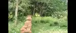 Shahpur bumbrauli road dubagga LucknowN