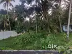 House plot at Elankunnapuzha