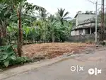 4 cent plot near eroor labour junction