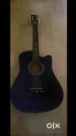 Acoustic parlor guiter (mate black)