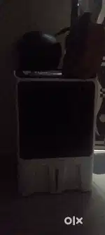 Tiger small cooler