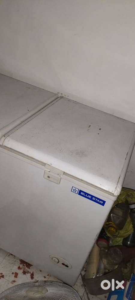 Blue star double door deep freezer