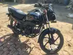 Passion pro 2015 last