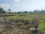 20*50 total 1000sqft. vacant land
