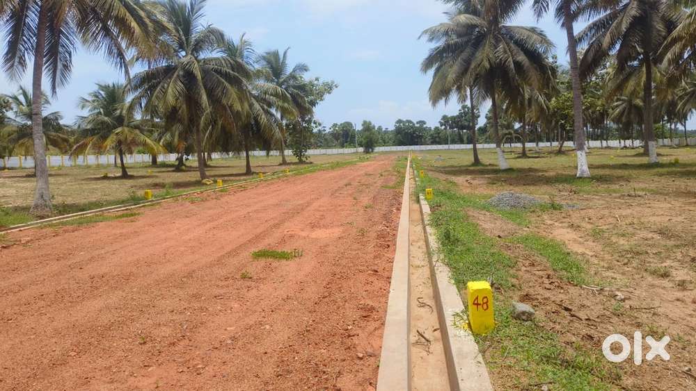 ₹7500 sq yd Bhogapuram near plots