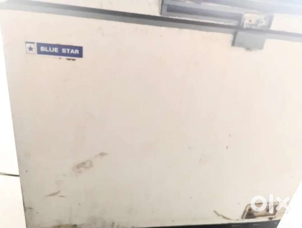 Blue Star Freezer