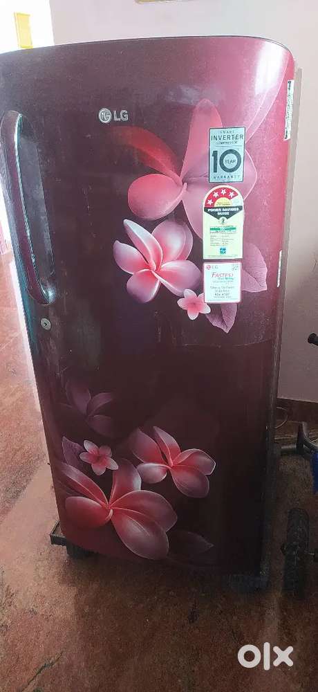 LG 220 litre fridge