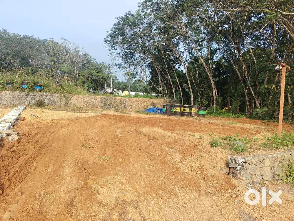 മുളന്തുരുത്തി ടൗണിൽ ഗ്രാമീണാന്തരീക്ഷമുള്ള പാടത്തിന് സമീപം  പ്ലോട്ട്