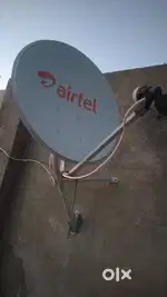 Airtel dish only