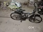 Biecycle better than your choice