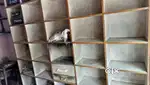 दुकान की फिटिंग for sale