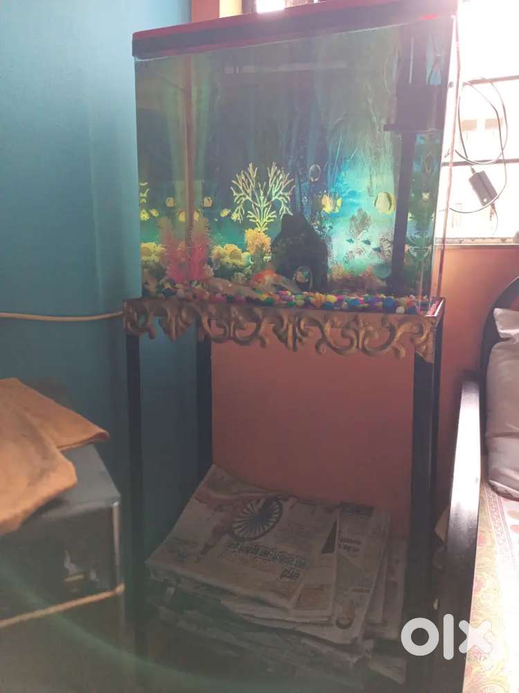 Aquarium tank with heavy strong metal stand