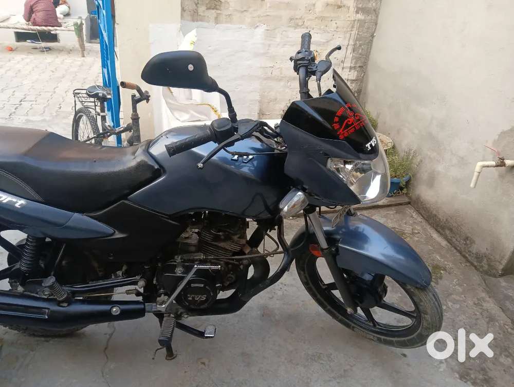 2024 august tvs sport