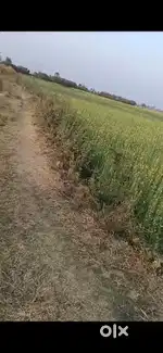 2 kattha main road land