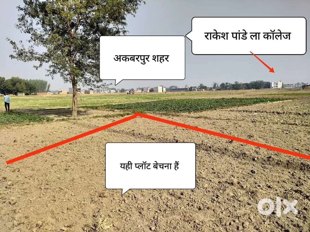 1.5 Biswa Plot for Sale in Akbarpur City Ambedkar Nagar