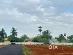 LOW BUDGET DTCP APPROVED PLOTS FOR URGENT SALE DIRECT OWNER PROPERTY
