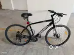 Well-Maintained Speedster Bicycle