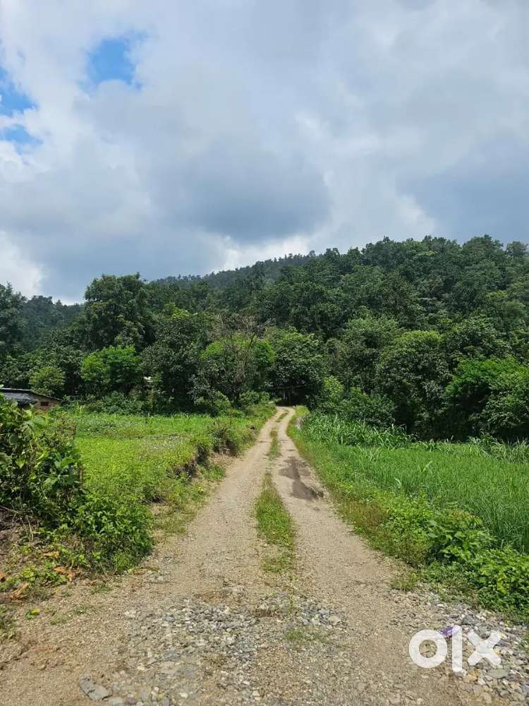 Residential Plots avilable Near thano chowk.