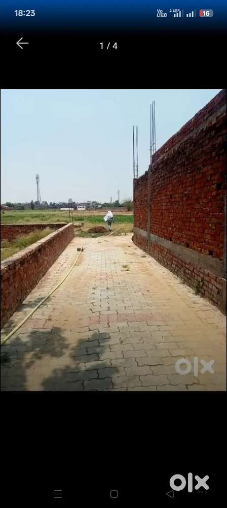 Kamalpur Near by mansa hospital