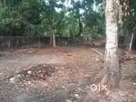 7.5 Cent in Ambalapuzha,Close to NH 5min drive,Square plot & compound