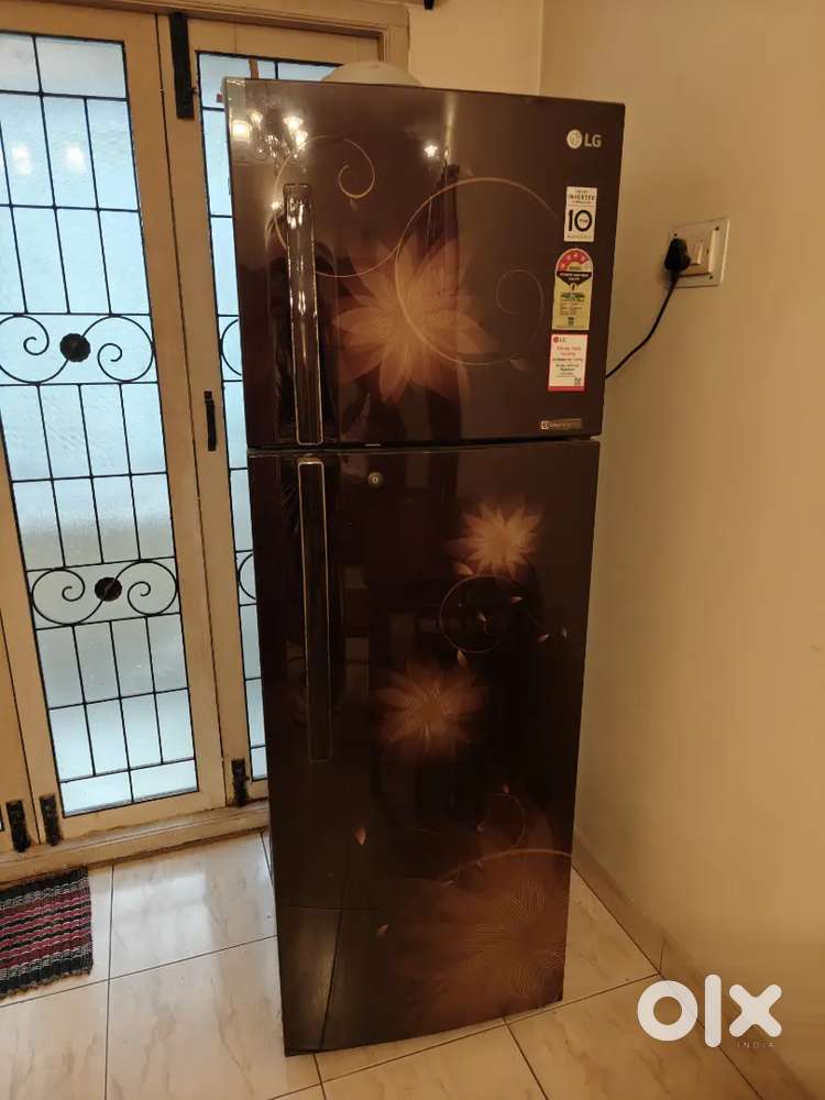 Aesthetic beautiful spacious large LG fridge
