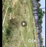 I am saling my plot